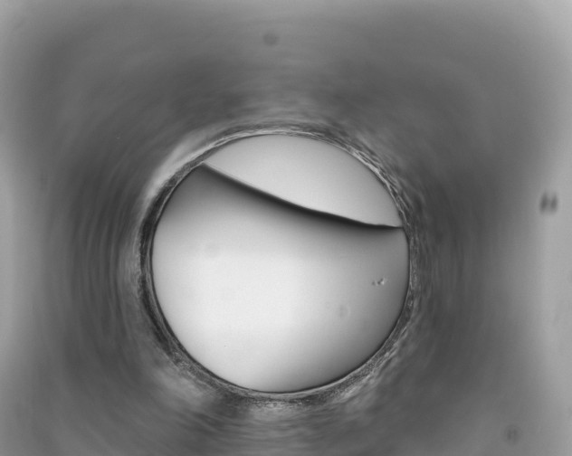 X0000091310198200708101116