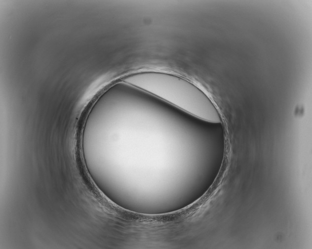 X0000091310199200708101116