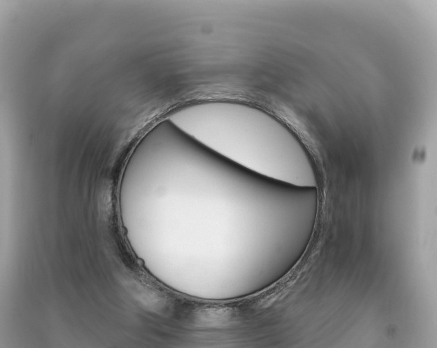 X0000091310202200708101116