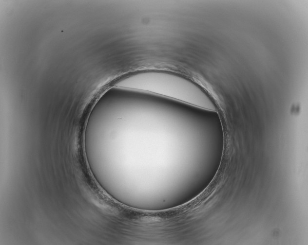 X0000091310203200708101116