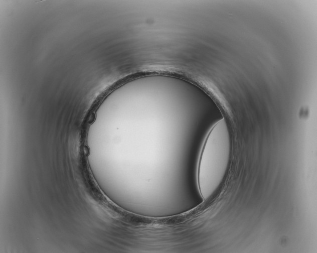 X0000091310204200708101116