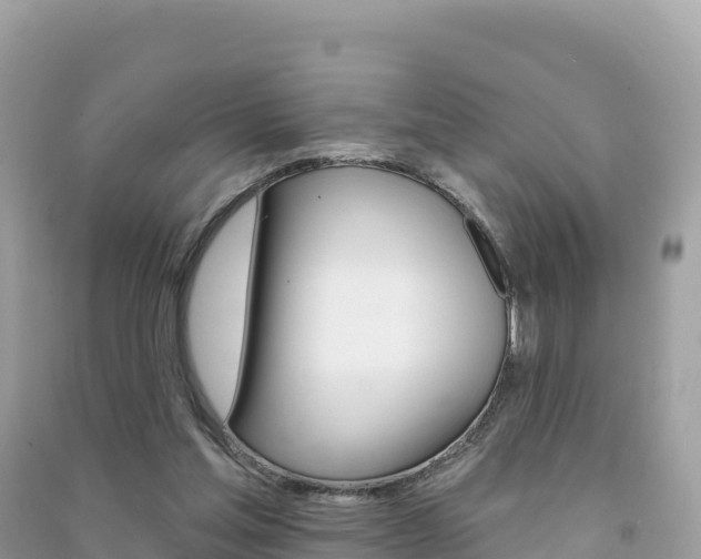 X0000091310205200708101116
