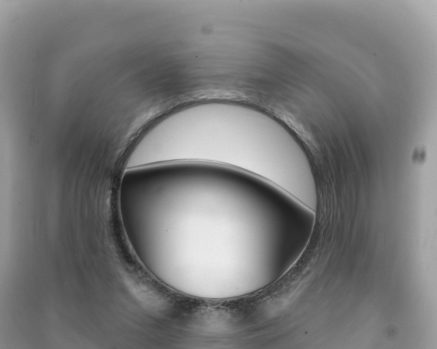X0000091310207200708101116