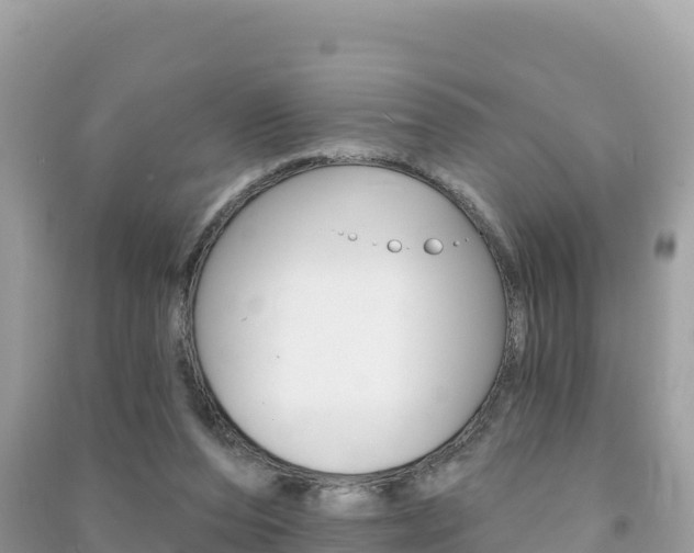 X0000091310208200708101116