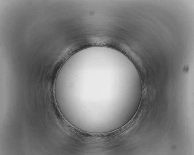 X0000091310209200708101116