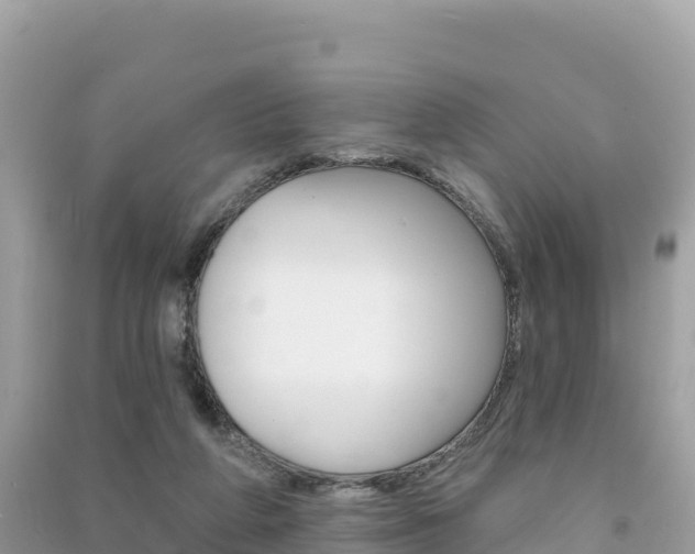 X0000091310210200708101116