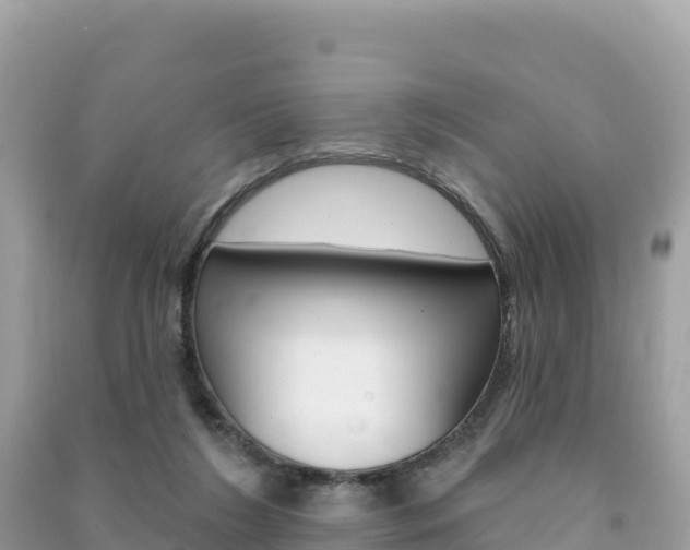 X0000091310212200708101116