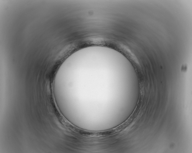 X0000091310213200708101116