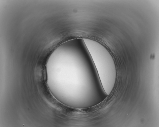 X0000091310215200708101116