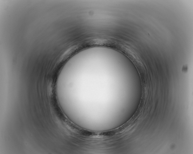 X0000091310216200708101115
