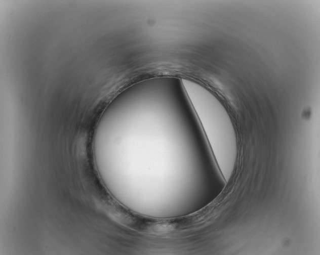 X0000091310217200708101115