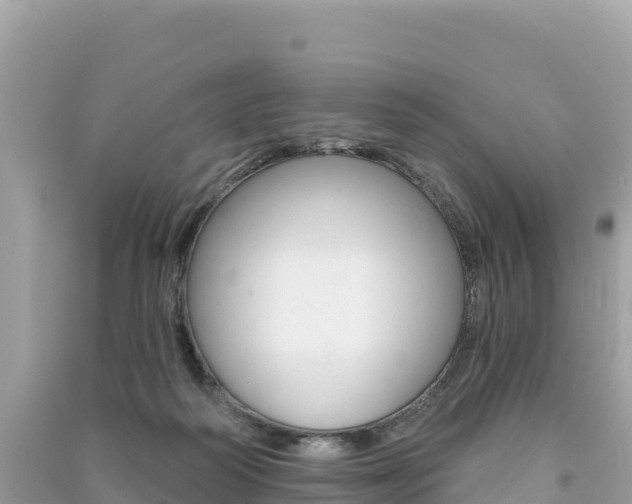 X0000091310218200708101115
