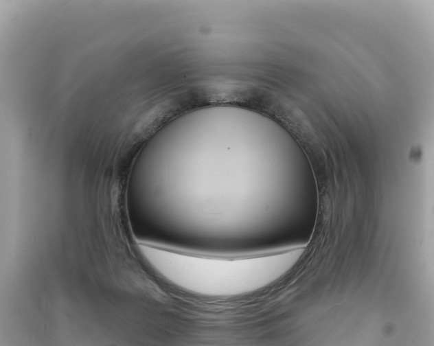 X0000091310219200708101115