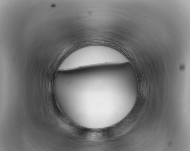 X0000091310220200708101115