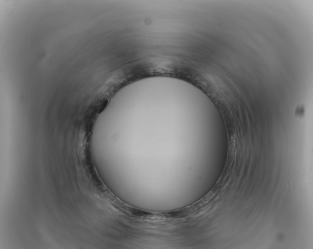 X0000091310223200708101115