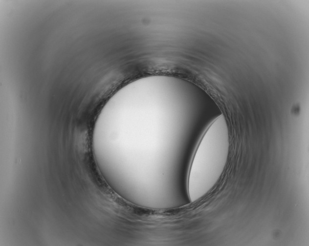 X0000091310224200708101115