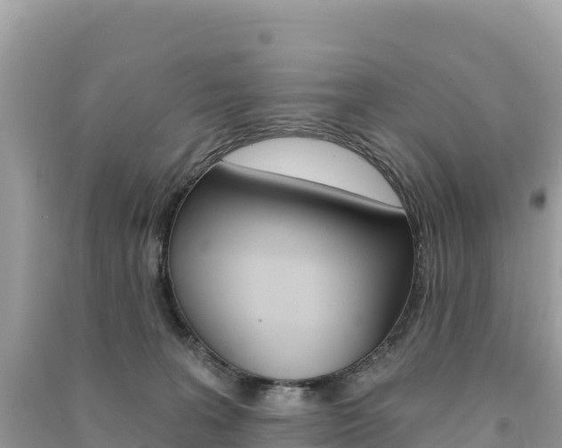 X0000091310227200708101115