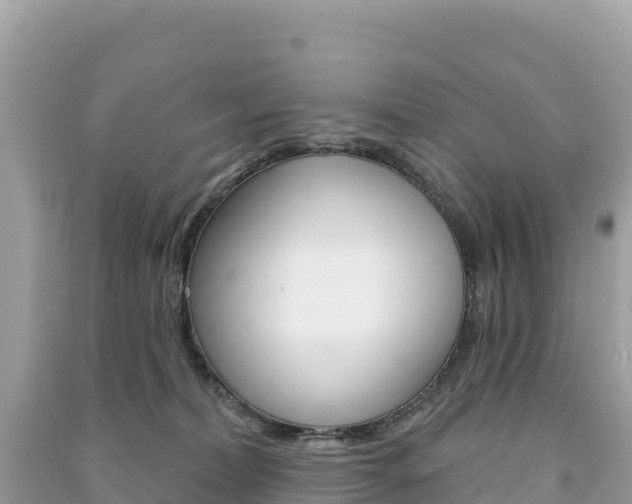 X0000091310228200708101115