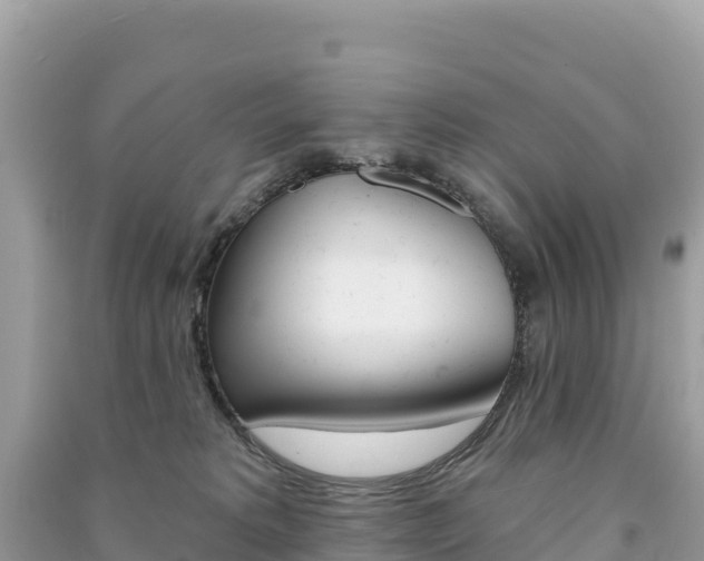 X0000091310229200708101115