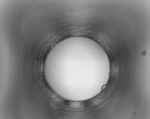 X0000091310230200708101115