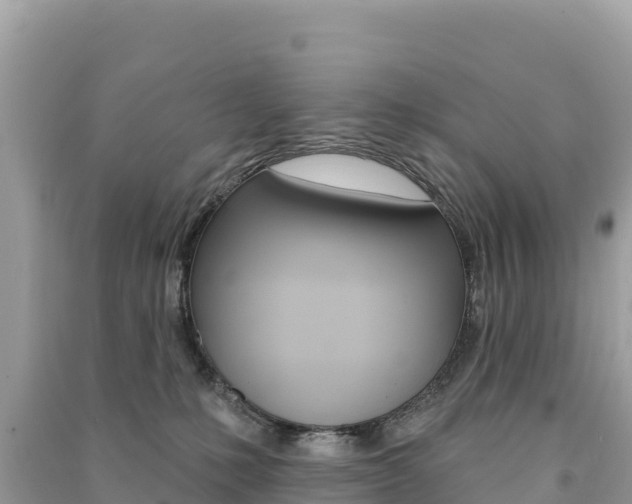 X0000091310231200708101115