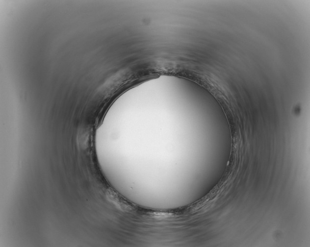 X0000091310233200708101115
