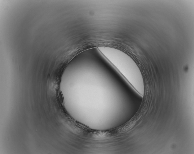 X0000091310235200708101115