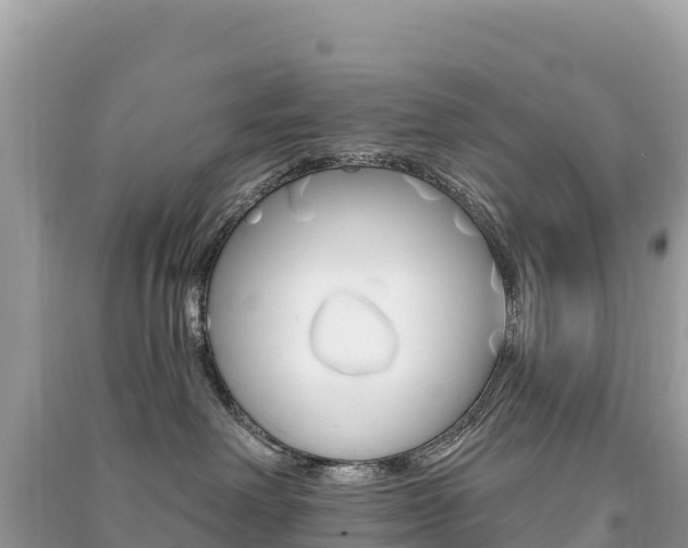 X0000091310238200708101115