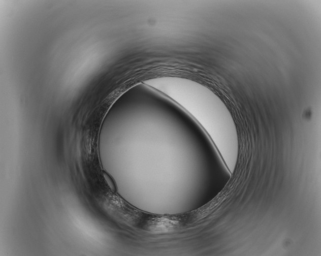 X0000091310239200708101115