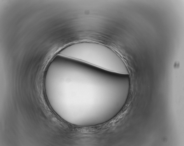 X0000091310241200708101115