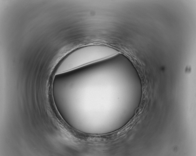 X0000091310242200708101115
