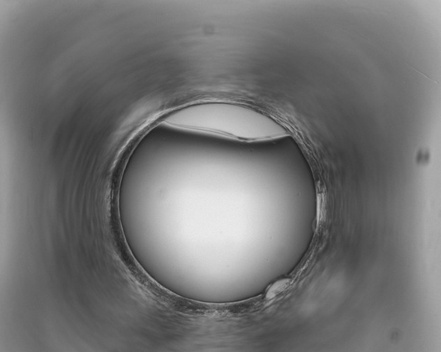 X0000091310243200708101115
