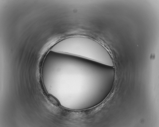 X0000091310245200708101115