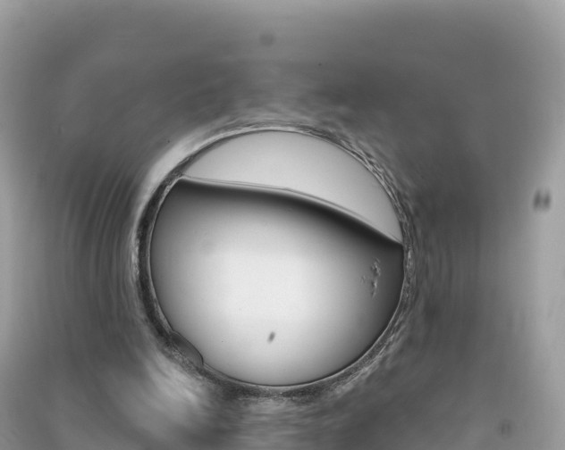 X0000091310246200708101115