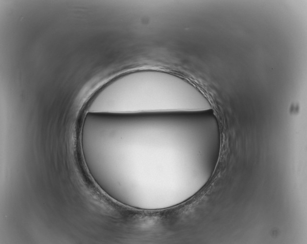X0000091310247200708101115