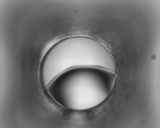 X0000091310248200708101115