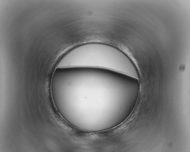 X0000091310249200708101115