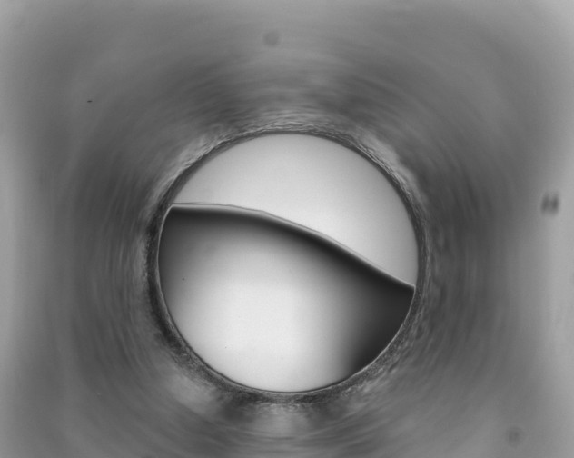 X0000091310250200708101115