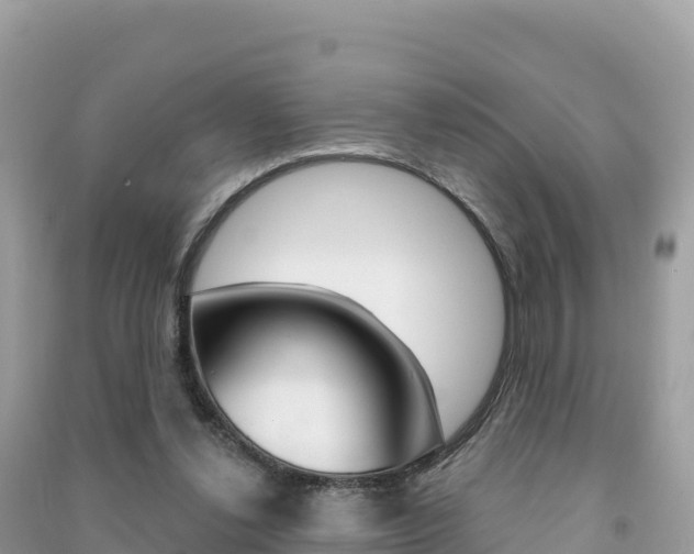 X0000091310252200708101115