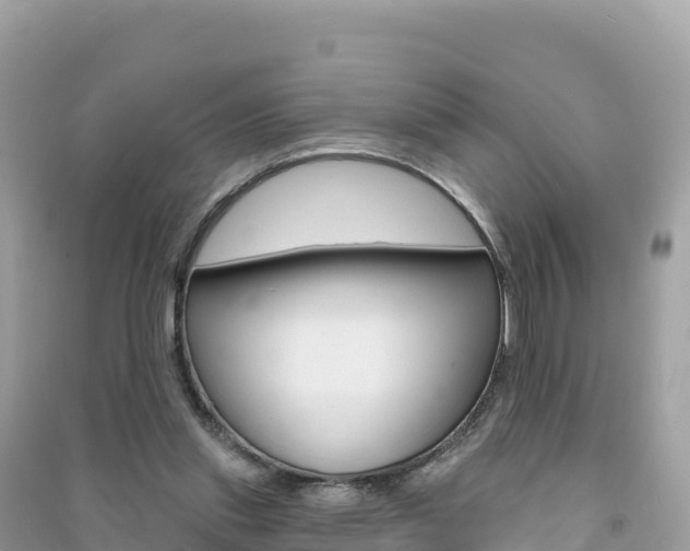 X0000091310253200708101115