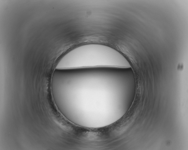 X0000091310255200708101115