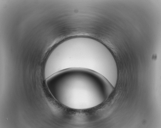 X0000091310256200708101115