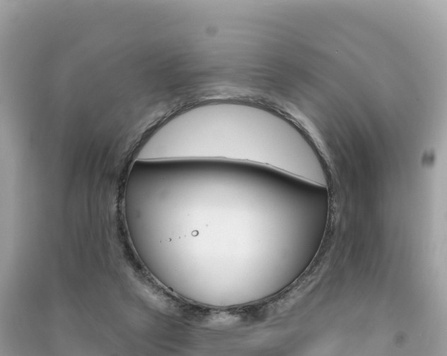 X0000091310257200708101115
