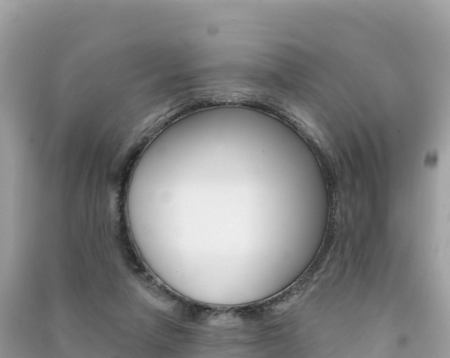 X0000091310258200708101115