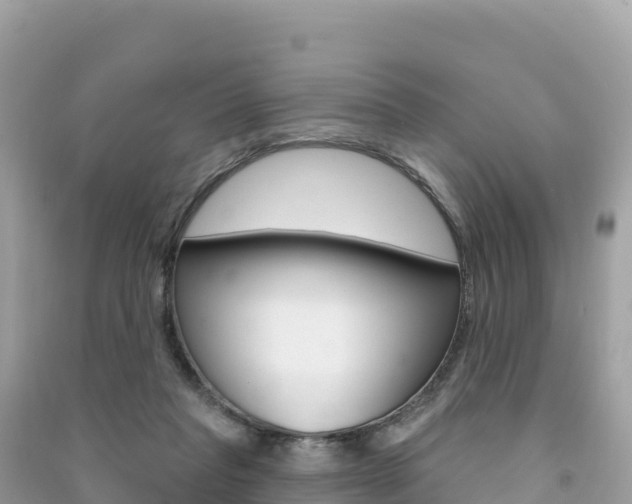 X0000091310261200708101115