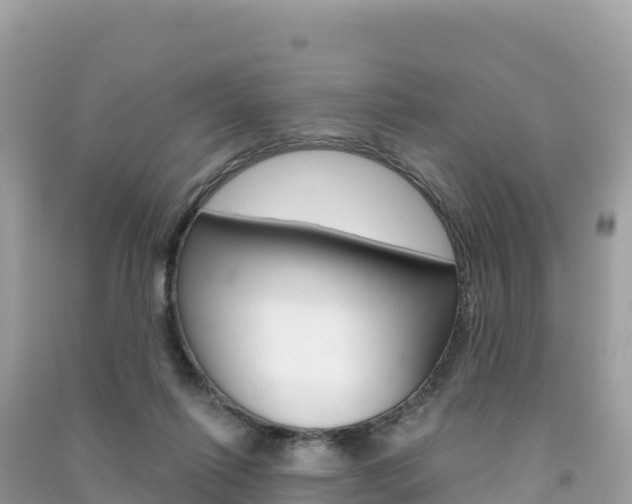 X0000091310262200708101115