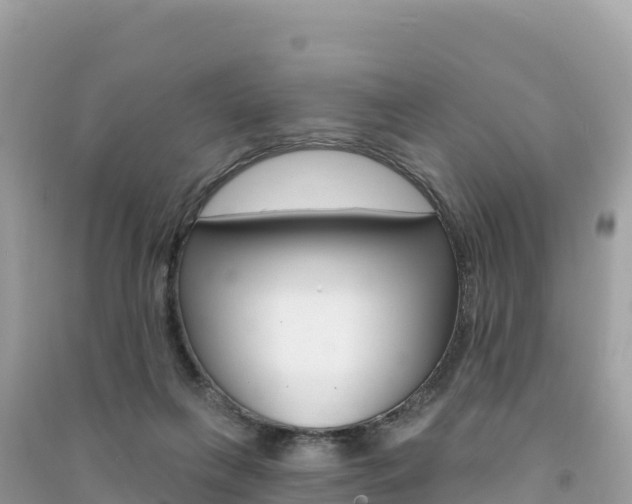 X0000091310263200708101115