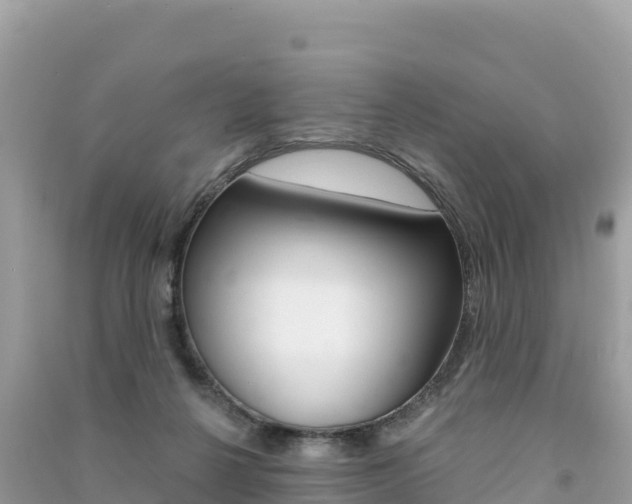 X0000091310264200708101115