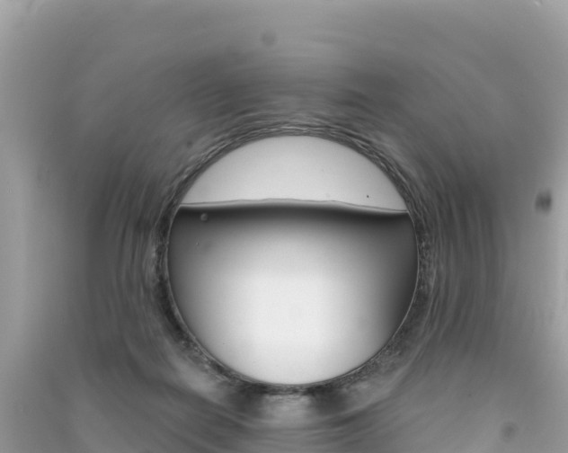 X0000091310266200708101115