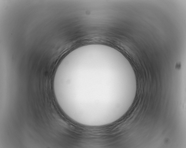 X0000091310268200708101115